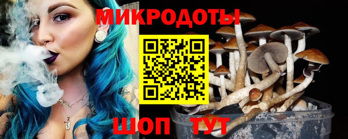 Псилоцибиновые грибы прущие грибы  Псилоцибиновые грибы ЛСД  Куйбышев  Вход с VPN 