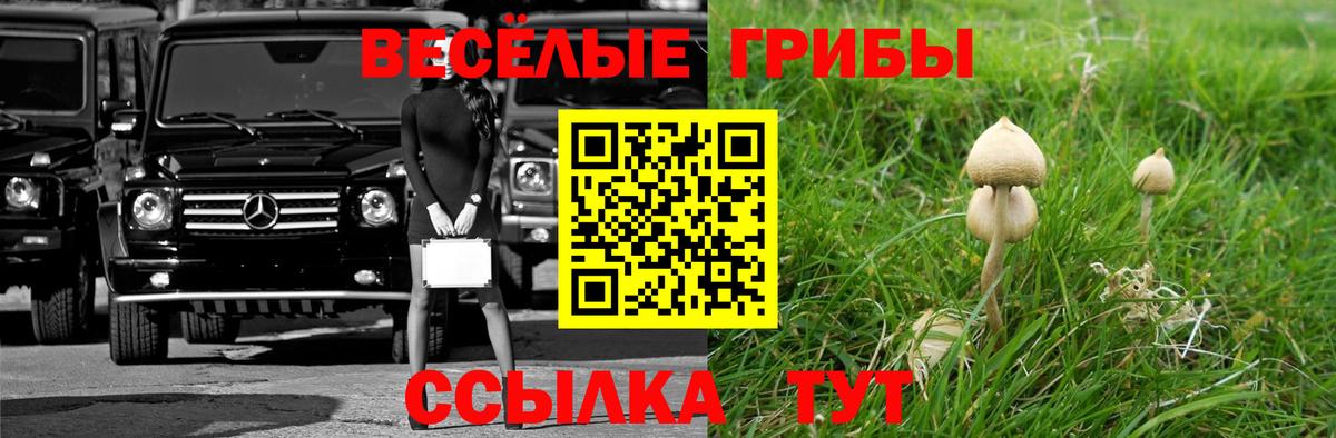 Галлюциногенные грибы MAGIC MUSHROOMS Куйбышев